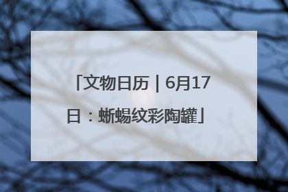 文物日历｜6月17日：蜥蜴纹彩陶罐