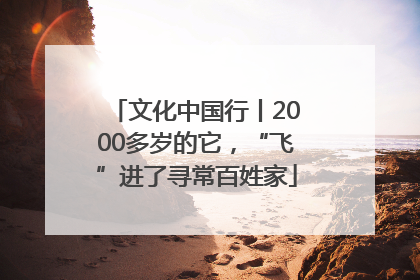文化中国行丨2000多岁的它，“飞”进了寻常百姓家