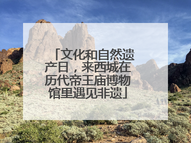 文化和自然遗产日，来西城在历代帝王庙博物馆里遇见非遗