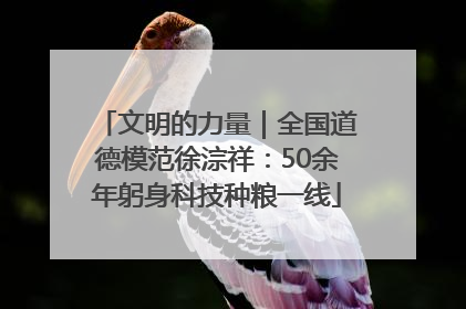 文明的力量｜全国道德模范徐淙祥：50余年躬身科技种粮一线