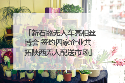 新石器无人车亮相丝博会 签约四家企业共拓陕西无人配送市场