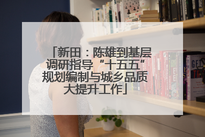 新田：陈雄到基层调研指导“十五五”规划编制与城乡品质大提升工作