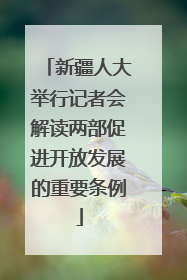 新疆人大举行记者会解读两部促进开放发展的重要条例
