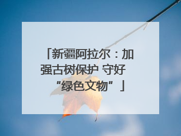 新疆阿拉尔：加强古树保护 守好“绿色文物”