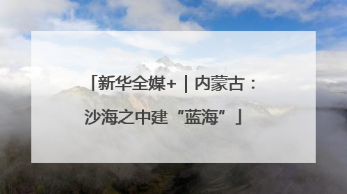 新华全媒+｜内蒙古：沙海之中建“蓝海”
