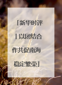 新华时评丨以团结合作共促南海稳定繁荣