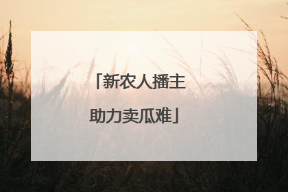 新农人播主 助力卖瓜难