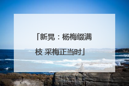 新晃:杨梅缀满枝 采梅正当时