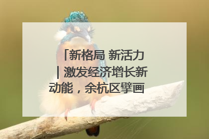 新格局 新活力｜激发经济增长新动能，余杭区擘画消费市场新布局