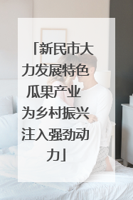 新民市大力发展特色瓜果产业 为乡村振兴注入强劲动力
