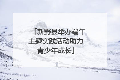 新野县举办端午主题实践活动助力青少年成长