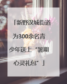 新野汉城街道为300余名青少年送上“暑期心灵礼包”