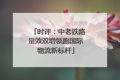 时评：中老铁路量效双增领跑国际物流新标杆