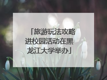 旅游玩法攻略进校园活动在黑龙江大学举办