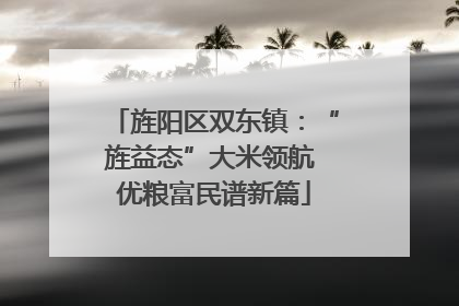 旌阳区双东镇：“旌益态”大米领航 优粮富民谱新篇