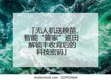 无人机送秧苗、智能“管家”巡田 解锁丰收背后的科技密码