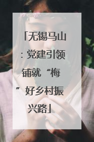 无锡马山：党建引领 铺就“梅”好乡村振兴路