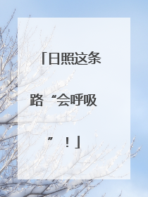 日照这条路“会呼吸”！