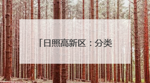 日照高新区：分类分级破难题，基层治理“精”无止境