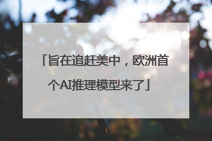 旨在追赶美中，欧洲首个AI推理模型来了