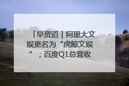 早资道｜阿里大文娱更名为“虎鲸文娱”；百度Q1总营收325亿元超预期