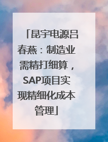 昆宇电源吕春燕：制造业需精打细算，SAP项目实现精细化成本管理