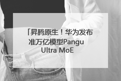 昇腾原生！华为发布准万亿模型Pangu Ultra MoE模型架构和训练细节