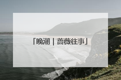 晚潮｜蔷薇往事