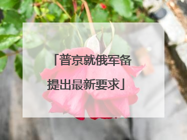 普京就俄军备提出最新要求
