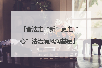 普法走“新”更走“心”法治清风润基层