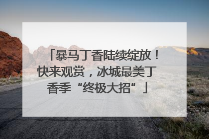暴马丁香陆续绽放！快来观赏，冰城最美丁香季“终极大招”