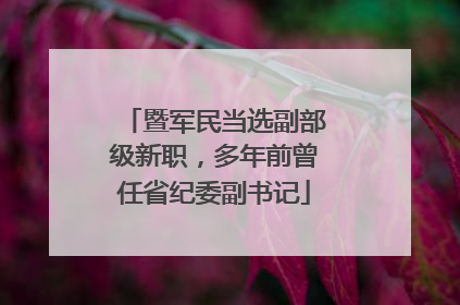 暨军民当选副部级新职，多年前曾任省纪委副书记