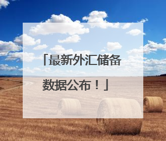 最新外汇储备数据公布！