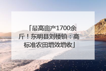 最高亩产1700余斤！东明县刘楼镇：高标准农田增效增收