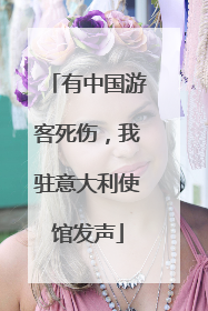 有中国游客死伤，我驻意大利使馆发声