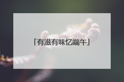 有滋有味忆端午