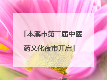 本溪市第二届中医药文化夜市开启