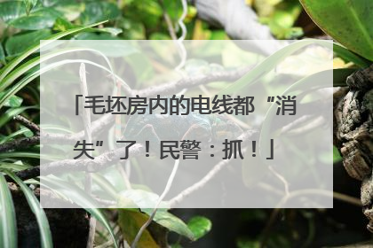 毛坯房内的电线都“消失”了！民警：抓！