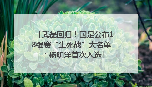 武磊回归！国足公布18强赛“生死战”大名单：杨明洋首次入选