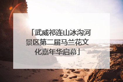 武威祁连山冰沟河景区第二届马兰花文化嘉年华启幕