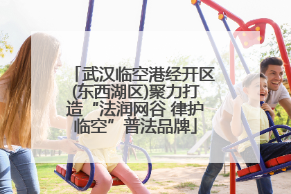 武汉临空港经开区(东西湖区)聚力打造“法润网谷 律护临空”普法品牌