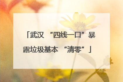 武汉 “四线一口”暴露垃圾基本 “清零”