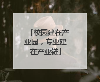 校园建在产业园，专业建在产业链