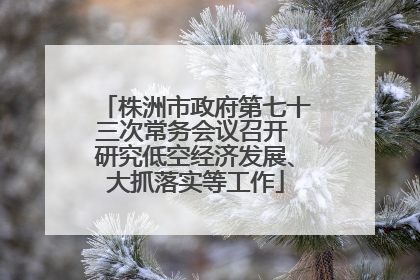 株洲市政府第七十三次常务会议召开 研究低空经济发展、大抓落实等工作