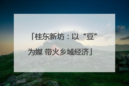 桂东新坊：以“豆”为媒 带火乡域经济