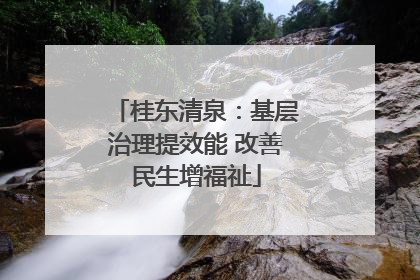 桂东清泉：基层治理提效能 改善民生增福祉
