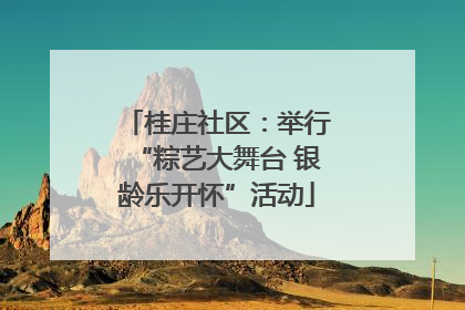 桂庄社区：举行“粽艺大舞台 银龄乐开怀”活动