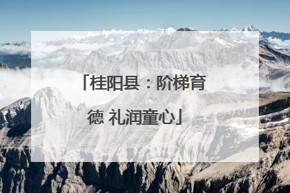 桂阳县：阶梯育德 礼润童心
