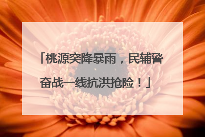 桃源突降暴雨，民辅警奋战一线抗洪抢险！