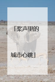 桨声里的城市心跳